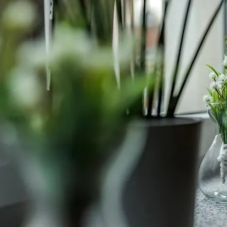 Jan's Urban Retreat