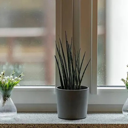 Jan's Urban Retreat ヴロツワフ