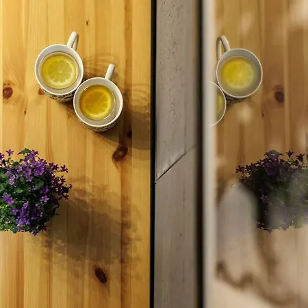 アパート Jan's Urban Retreat ヴロツワフ